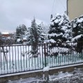 Wczytywanie...